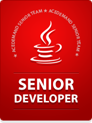 senior-java-developer-needed